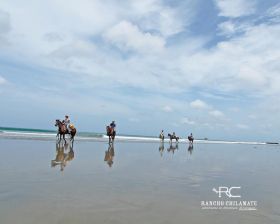 San Juan del Sur horseback riding on the beach in a group – Best Places In The World To Retire – International Living
